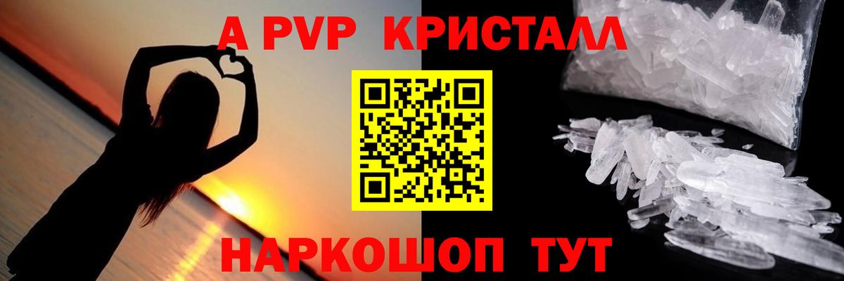 A PVP СК Сосновый Бор