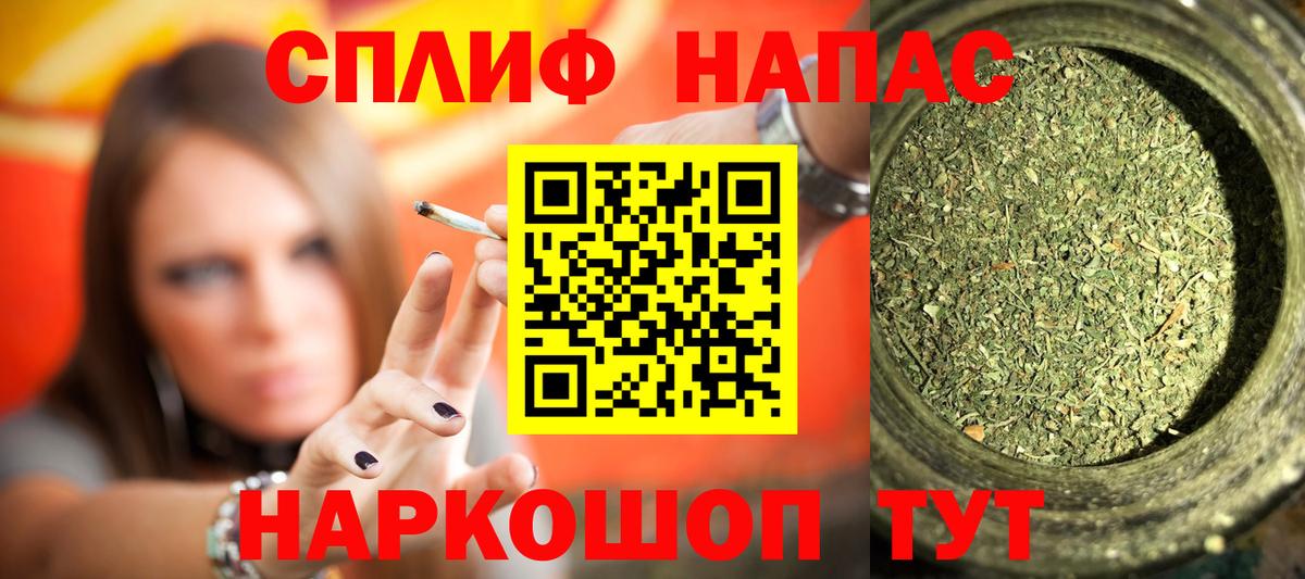 Каннабис сатива Сосновый Бор